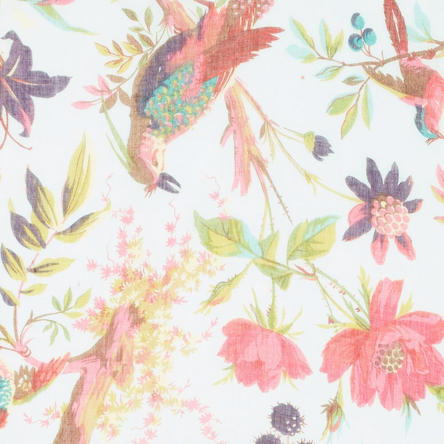 Secret Oasis 100% Cotton Scarf